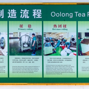南平电大师生代表前往龙岩漳平参加茶艺与茶叶营销专业实践教学活动 ... ...