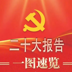 一图速览二十大报告